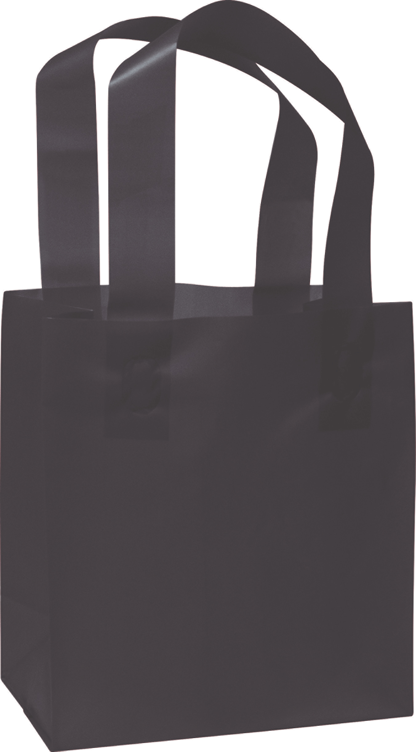 250 Black Plastic Bags Frosted High Density Flex Loop Shoppers 6 1/2 x