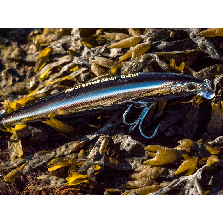FIIISH Black Minnow 160 - Combo Off Shore (Weight: 60gr, Color: Electric  Blue+ Electric Blue Body) [FIIISHBM1425] - €14.40 : , Fishing  Tackle Shop