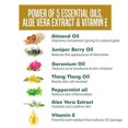 thumbnail image 4 of Nature's Essence Glowing Gold Facial Kit, 500 grams (5X100 grams), 4 of 5