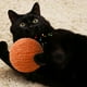 thumbnail image 4 of Juego De Juguetes Para Gatos Con Cuerda De Sisal Y Plumas Y Juguetes Interactivos Para Gatos De Interior. Cuerda De Papel Para Que Los Gatitos Muerdan. Juguete Interactivo Para Gatos. Cuerda Para Ga, 4 of 5