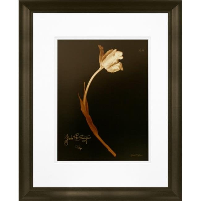 Timeless Frames 55256 16 x 20 in. Tulip 22 Photo Frame ...