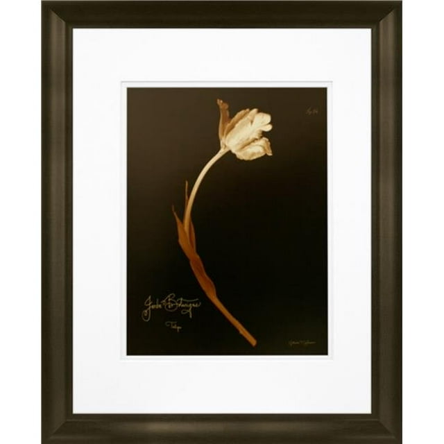 Timeless Frames 55256 Cadre Photo Tulipe 16 x 20 Po 22