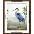 thumbnail image 5 of Art.com Blue Heron Art Print by Aimee Wilson, Brown Frame Wall Art, 17" x 21", 5 of 5