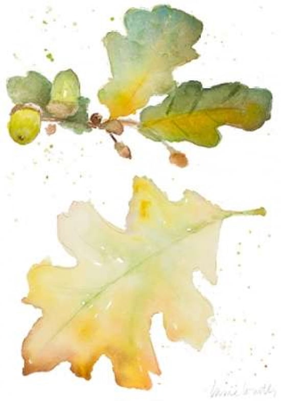 Acorns and Oak Leaves I Canvas Art - Lanie Loreth ()