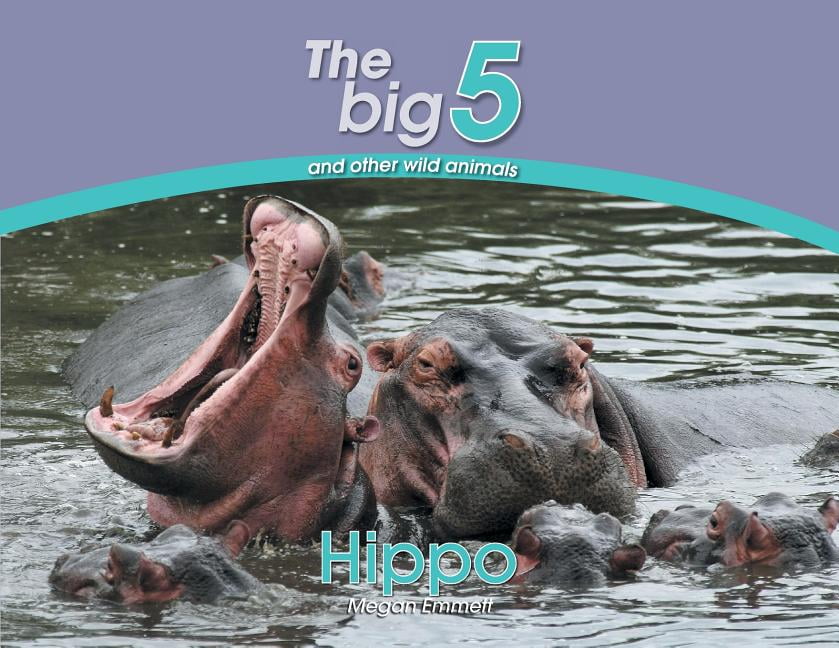 Big 5 and Other Wild Animals: Hippo : The Big 5 and other wild animals  (Paperback) 
