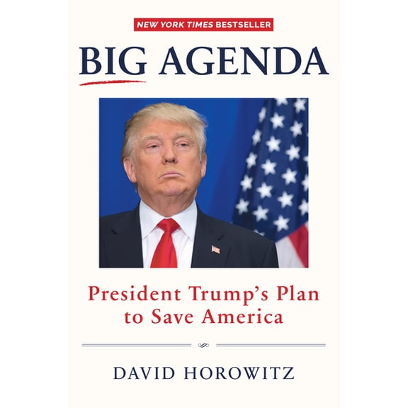 Big Agenda: President Trump's Plan to Save America (Hardcover)