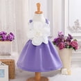 thumbnail image 4 of AINIYS Girls Turn-Down Collar Short Sleeve A-Line Dress With Hidden Back Zipper Flowy Skirt For Party And Tea Party Purple 100, 4 of 9
