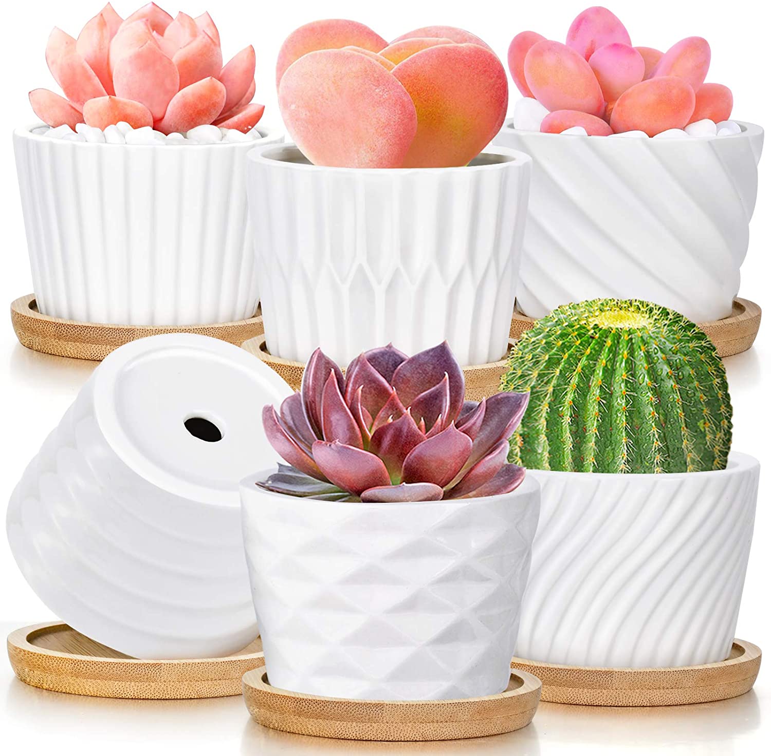 Succulent Pots 4Pack White Ceramic Pots for Plants Set of 6 Succulent ...