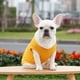 thumbnail image 5 of Camisetas para perros Camisetas suaves para perros Ropa básica para mascotas Ropa para cachorros Ropa suave y transpirable​Para mascotas, 5 of 6