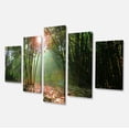 thumbnail image 2 of Amazing Green Forest at Sunset - Landscape Canvas Art Print, 2 of 3