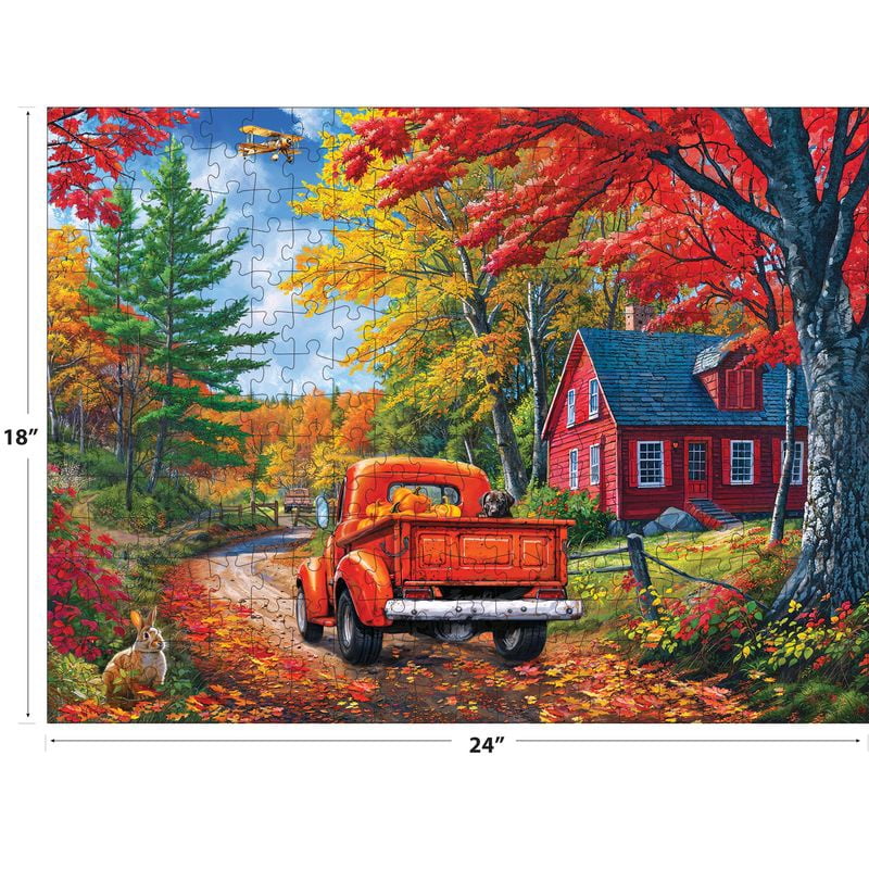 KODAK 350PC MAINE ROAD