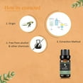 thumbnail image 3 of KRIAA Goodness Eucalyptus Essential Oil 10ml with Dropper, 3 of 6