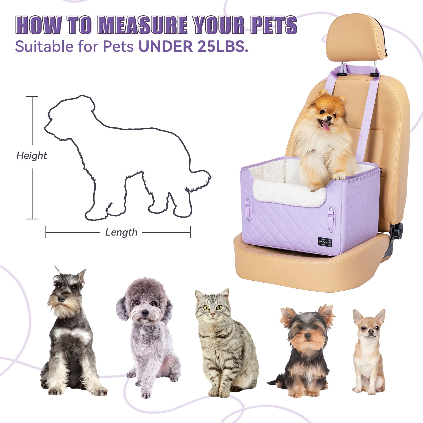 PETSFIT Small Dog Car Seat, Puppy Portable Dog Booster seat for Car with Clip-On Leash, Adjustable Straps Suitable for Small Pets Up to 25lbs (Lavender Purple)