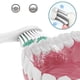 thumbnail image 5 of Cepillo de dientes eléctrico IPX7, resistente al agua, de cerdas suaves, sónico, de seis velocidades, con carga USB, portátil para el hogar, 5 of 5