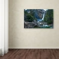 thumbnail image 3 of Trademark Fine Art "Yosemite National Park - California-IV" Canvas Art by David Ayash, 3 of 6