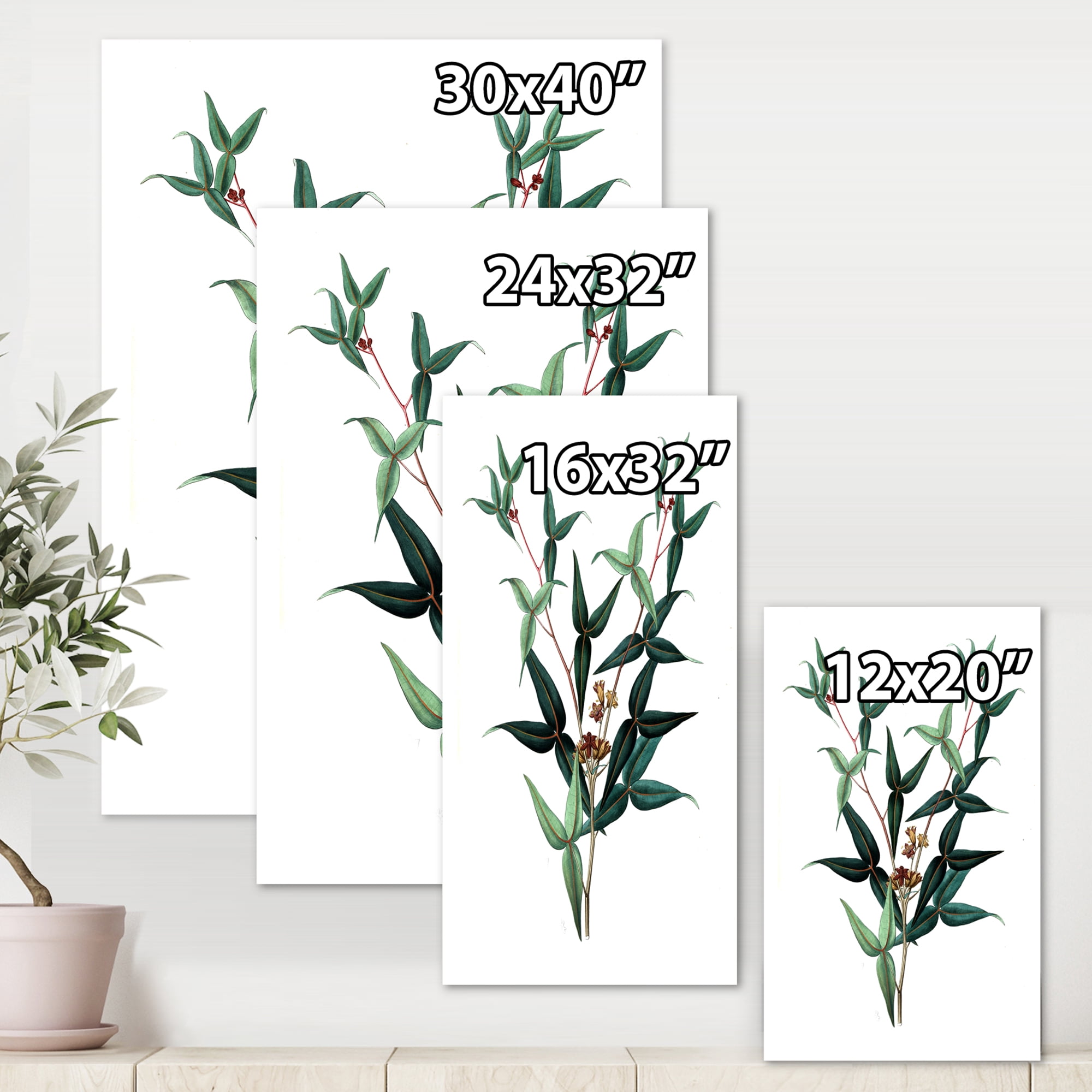 Designart ' Ancient Green Leaves Plants VIII ' Traditional Canvas Wall Art Print
