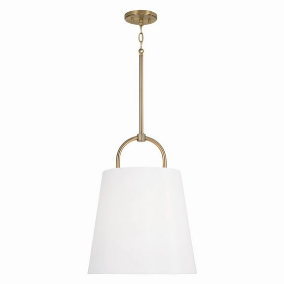1 Light Pendant In Minimalist Style-21 Inches Tall And 16 Inches Wide-Aged Brass Finish    -Traditional Installation Capital Lighting 349412Ad