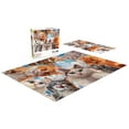 thumbnail image 4 of 750P CATS, 4 of 5