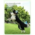 thumbnail image 4 of Epic Fetch Pet Flywheel Frisbee: Cool Gear-Shaped Outdoor Toy, 4 of 10