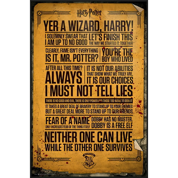 Harry Potter Framed Movie Poster (Famous & Favorite Quotes) (Size 25" X 37") (Black Aluminum