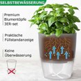thumbnail image 3 of Spice Pot Kitchen Set Window Sill Self-Watering Set of 3 Spice Garden for the Kitchen, 18.2x 11x 15.3 Cm, for Fresh Herbs, Gray, 3 of 5