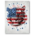 thumbnail image 1 of Awkward Styles USA Flag Canvas with Tiger Patriotic American Flag Wall Art Tiger Wall Decor Free American Decoration for Living Room Bedroom Kids Room 4th of July, 1 of 5