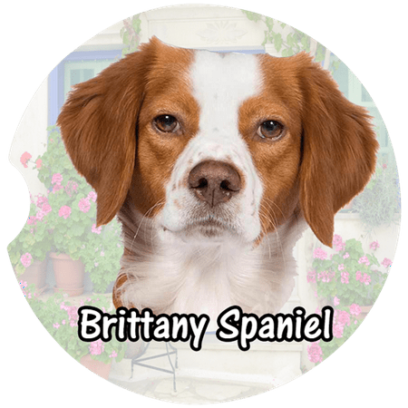 

Brittany Car Coaster Absorbent Stoneware Car Cup Holder Coaster Set of 2