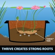 CrystalClear Thrive, Aquatic Plant Fertilizer, 60 Tablets