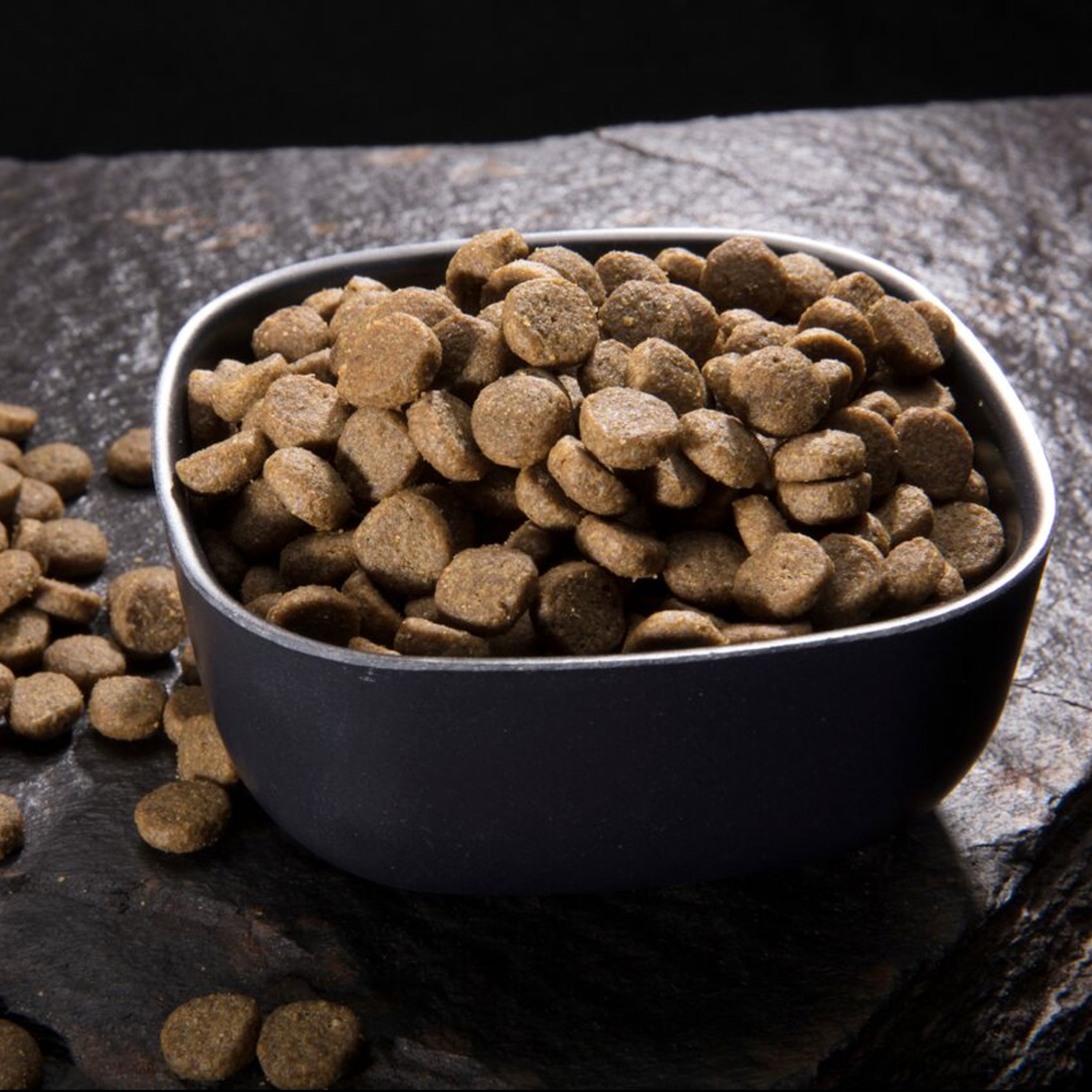 crave cat food salmon