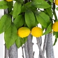 thumbnail image 4 of Northlight Lemon Tree Birch Branch Framed Wall Art - 14.5" x 9" - White and Green, 4 of 8