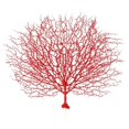 thumbnail image 1 of 1pc Plastic Coral Branch Artificial Coral Decoration Landscape Decoration Props for Wedding Aquarium Home (Red), 1 of 4