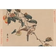 thumbnail image 2 of Matsumura, Keibun 32x23 Black Ornate Wood Framed with Double Matting Museum Art Print Titled - Bird perched on a branch from a fruit persimmon tree., 1892, 2 of 4