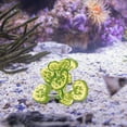 thumbnail image 3 of USHOBE 1Pcs Light Green Plastic Plants for Aquariums with Decorative and Landscape Design Functions, 3 of 8