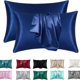 thumbnail image 1 of Funda de almohada de seda satinada para cabello y piel, fundas de almohada de color Coral, juego de funda de almohada súper suave de tamaño estándar, 2 uds., 1 of 5
