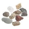 WHAMVOX 12 Pcs Specimen for Laboratory Rock Collecting Kit The ...