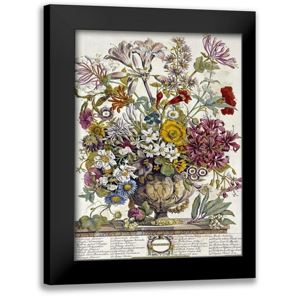 Furber, Robert 11x14 Black Modern Framed Museum Art Print Titled - October - Twelve Months of Flowers