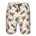 thumbnail image 3 of Balery Cute Sloth Traje de Baño Estilo Hawaiano para Hombre, Shorts de Secado Rápido con Bolsillos-3X-Large, 3 of 6