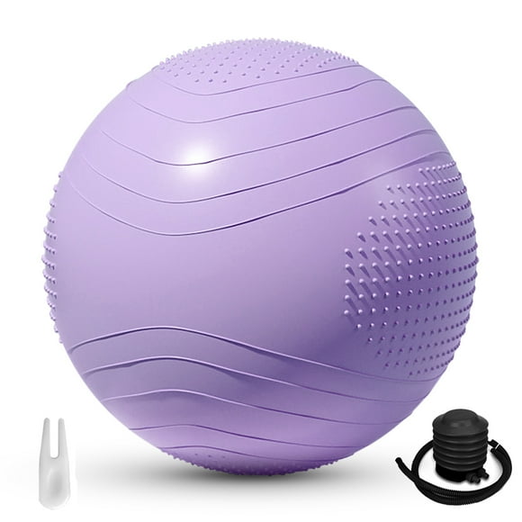 Yoga Ball Thick & Burst Fitness Ball Slip Resistant Pilates Exercise Ball Stability Ball for Balance Exercise Workout Core Training Quick Pump Included Balance Ball Desk Chair in Gym Office