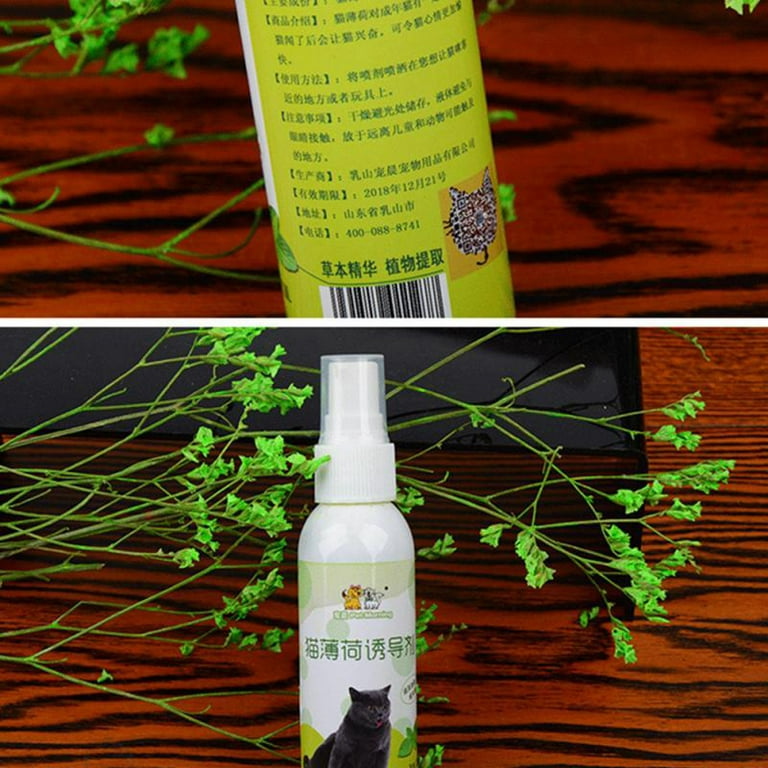 50ml Cat Catnip Spray Healthy Ingredients Catnip Spray For Kittens Cats  Attractant Easy To Use 