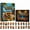 Highland Cow, variant on Highland Cow Summer Vacation Advent Calendar 2026, 24 Days Countdown Calendars with 24 2D Highland Cow Figures, Summer Decorations with LED Lightbox for Home Bookshelf Display