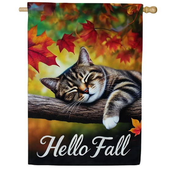 America Forever Hello Fall Sleeping Cat House Flag, 28 x 40 inch Double Sided, Charming Autumn Feline Greeting Flags, Cozy Kitten Autumn Decor, Seasonal Outdoor Decorative for Lawn and House