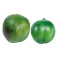 thumbnail image 5 of HEMOTON Tropical Fake Coconuts for Decoration Lightweight Plastic Coconuts Models Green Color 2 Pieces, 5 of 8