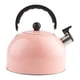 thumbnail image 5 of Whistling Kettle Agua caliente Té de té fuerte Alarma de la altura anti -caldera de calzoncillo Capacidad de 3 litros con de silbato para la, 5 of 8