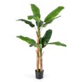 thumbnail image 2 of Amijoy 5.5 FT Tall Artificial Banana Tree w/ 10 Large Leaves Double Stalks Natural Bark, 2 of 7