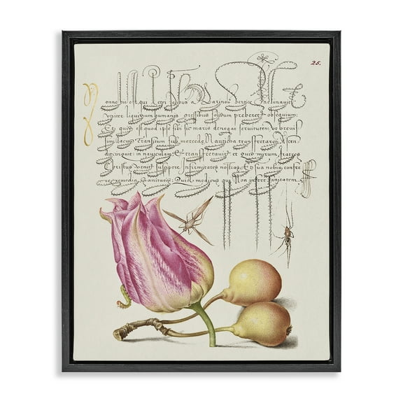 Stupell Industries Budding Lily Vintage Page Text & Numbers Painting Black Floater Framed Canvas Art Print Wall Art, 17 x 21