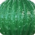 thumbnail image 2 of Trampa Pegajosa para Moscas La Avispa Insectos Interior Y Exterior () Verde, 2 of 4