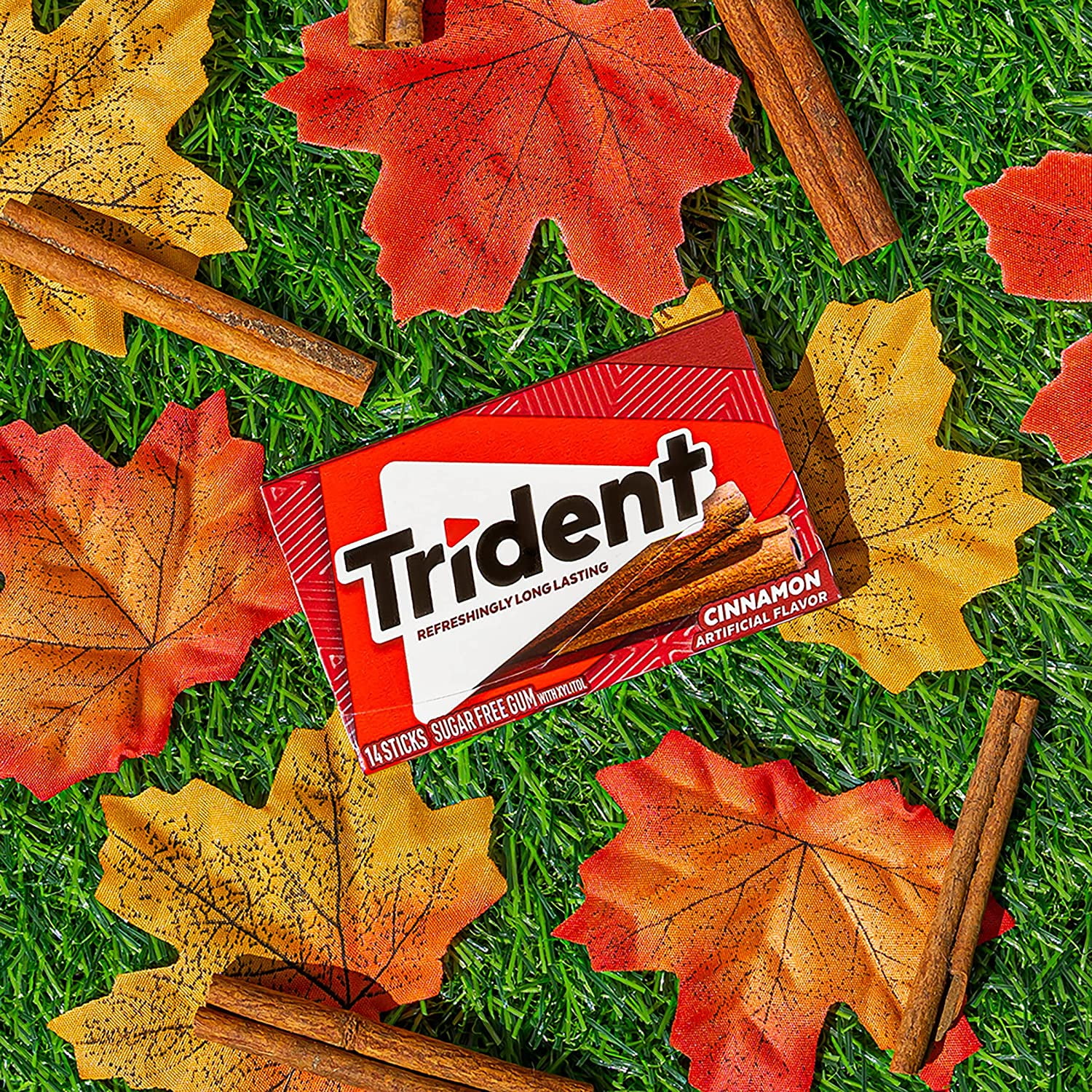 Trident Cinnamon Sugar Free Gum, 24 Packs of 28 Pieces (336 Total Pieces) DOUBLE UP DEAL
