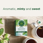 Traditional Medicinals Spearmint Herbal Tea Bags, Caffeine Free, 16 Count