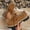 Brown, variant on Women’s Suede Tassel Platform Loafers, Comfortable Lace-Up Shoes for Fall/Winter Commutes, School Days, and Casual Office Looks