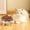 Multicolor 8Z4, variant on Wuztai Stainless Steel No Slide Pet Bowl, Double Layer Separation Cat Dog Food Water Bowl Anti-Knockover Non-Slip, Pet Feeding Bowl Animals Dish